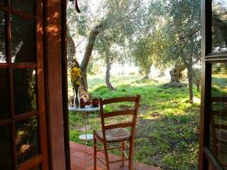 Casa per le vacanze Monte Argentario Registrazione all'aperto 14