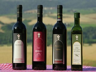 Farmhouse Paganico  41