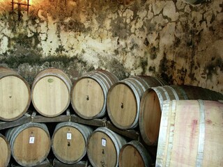 Boerderij Paganico  38