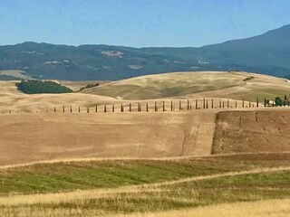 Fattoria Paganico Ambiente 31