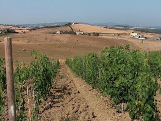 Type de propriété : Ferme Paganico Environnement 36