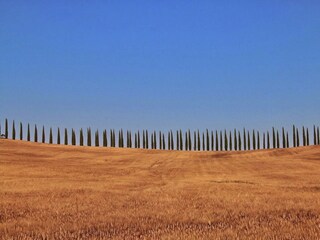 Casa de campo Paganico Entorno 36