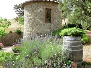 Type de propriété : Ferme Paganico Enregistrement extérieur 14