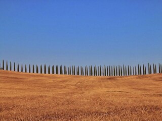 Type de propriété : Ferme Paganico Environnement 36