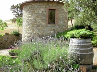Bauernhof Paganico Außenaufnahme 15