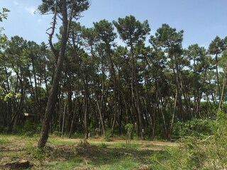 Casa de vacaciones Principina a Mare Grabación al aire libre 4