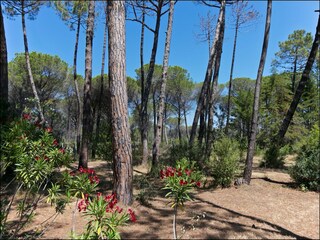 Casa de vacaciones Principina a Mare Grabación al aire libre 13
