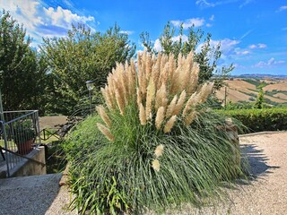 Appartement Ancona (Stadt)  35