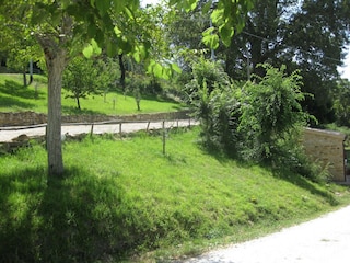 Landhaus Serra San Quirico Außenaufnahme 10