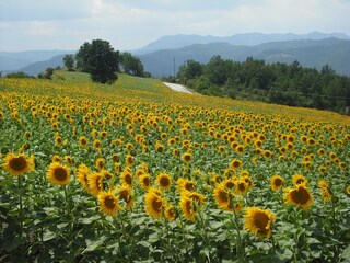 Appartement Sant'Agata Feltria Enregistrement extérieur 7