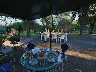 Ferienhaus Serrungarina Außenaufnahme 5