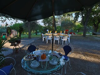 Holiday house Serrungarina Outdoor Recording 10