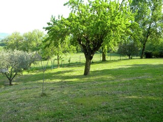 Holiday house Serrungarina Outdoor Recording 7