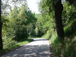 Holiday house Serrungarina Environment 30