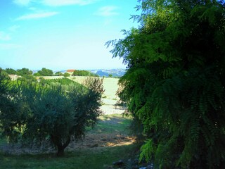 Casa de vacaciones Serrungarina Entorno 33