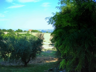 Maison de vacances Serrungarina Environnement 30