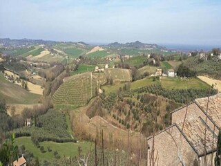 Holiday house Serrungarina Environment 34