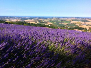 Maison de vacances Serrungarina Environnement 34