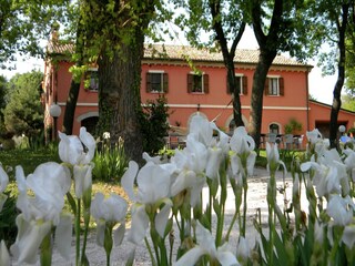 Casa per le vacanze Serrungarina  38