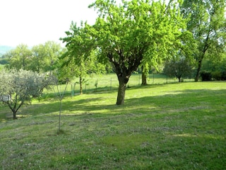 Ferienhaus Serrungarina Außenaufnahme 9