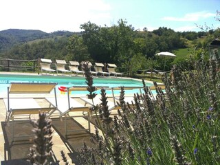 Bauernhof Apecchio Außenaufnahme 2