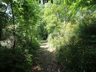 Casa de vacaciones Apecchio Entorno 30