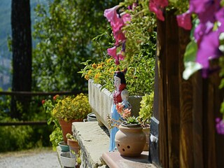 Vakantiehuisje Apecchio  36