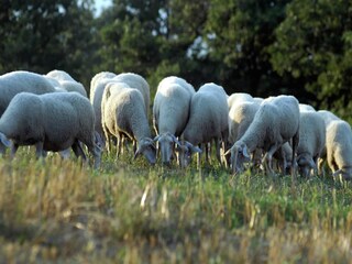 Casa per le vacanze Apecchio Ambiente 34