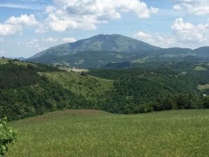 Farmhouse in Apecchio with Swimming Pool, Terrace, Garden - Apecchio - image1