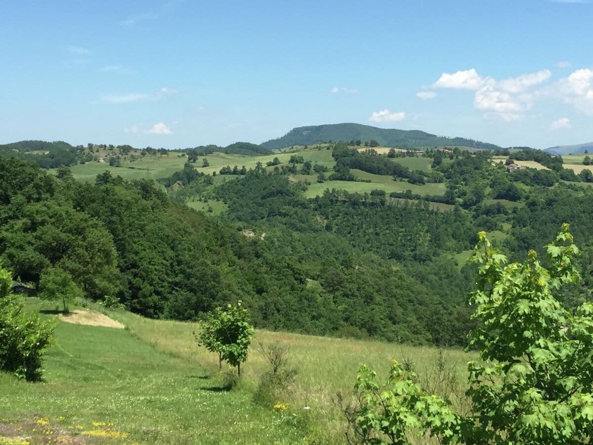 Bauernhof Apecchio Außenaufnahme 5