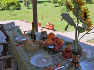 Farmhouse Apecchio Outdoor Recording 8