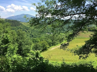Bauernhof Apecchio Außenaufnahme 13