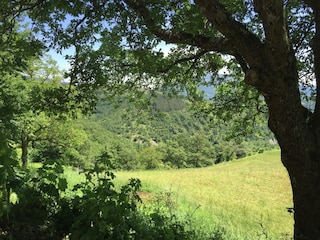 Farmhouse Apecchio Outdoor Recording 13
