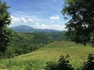 Bauernhof Apecchio Außenaufnahme 8