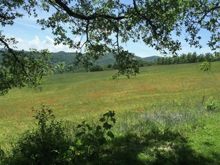 Type de propriété : Ferme Apecchio Enregistrement extérieur 19