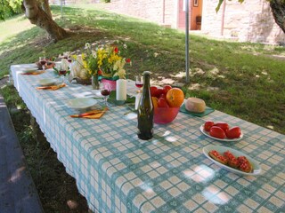 Farmhouse Apecchio Outdoor Recording 6