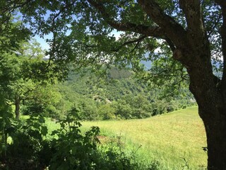 Type de propriété : Ferme Apecchio Enregistrement extérieur 19