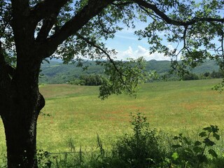 Casa de campo Apecchio Grabación al aire libre 13