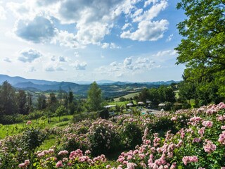 Casa per le vacanze Acqualagna Registrazione all'aperto 10