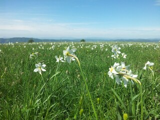 Holiday house Acqualagna Environment 41