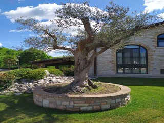 Holiday house Acqualagna Outdoor Recording 5