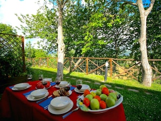 Type de propriété : Ferme Cagli Enregistrement extérieur 21