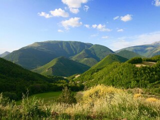 Casa de campo Cagli Entorno 32