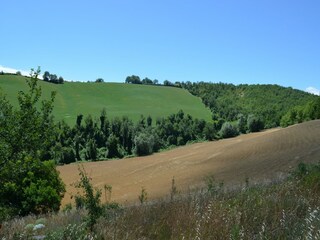 Vakantiehuisje Pergola Buitenaudio-opname 4