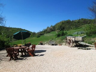 Appartamento Pergola Registrazione all'aperto 13