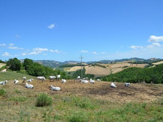 Apartamento Pergola Entorno 32