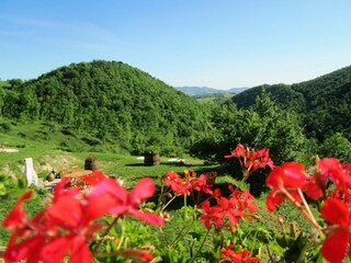 Cottage Pergola Außenaufnahme 15