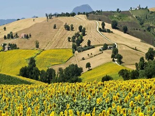 Appartamento Pergola Ambiente 34