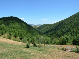 Appartement Pergola Buitenaudio-opname 10