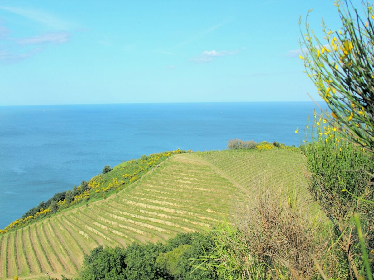 Villa Santa Vittoria in Matenano Umgebung 32